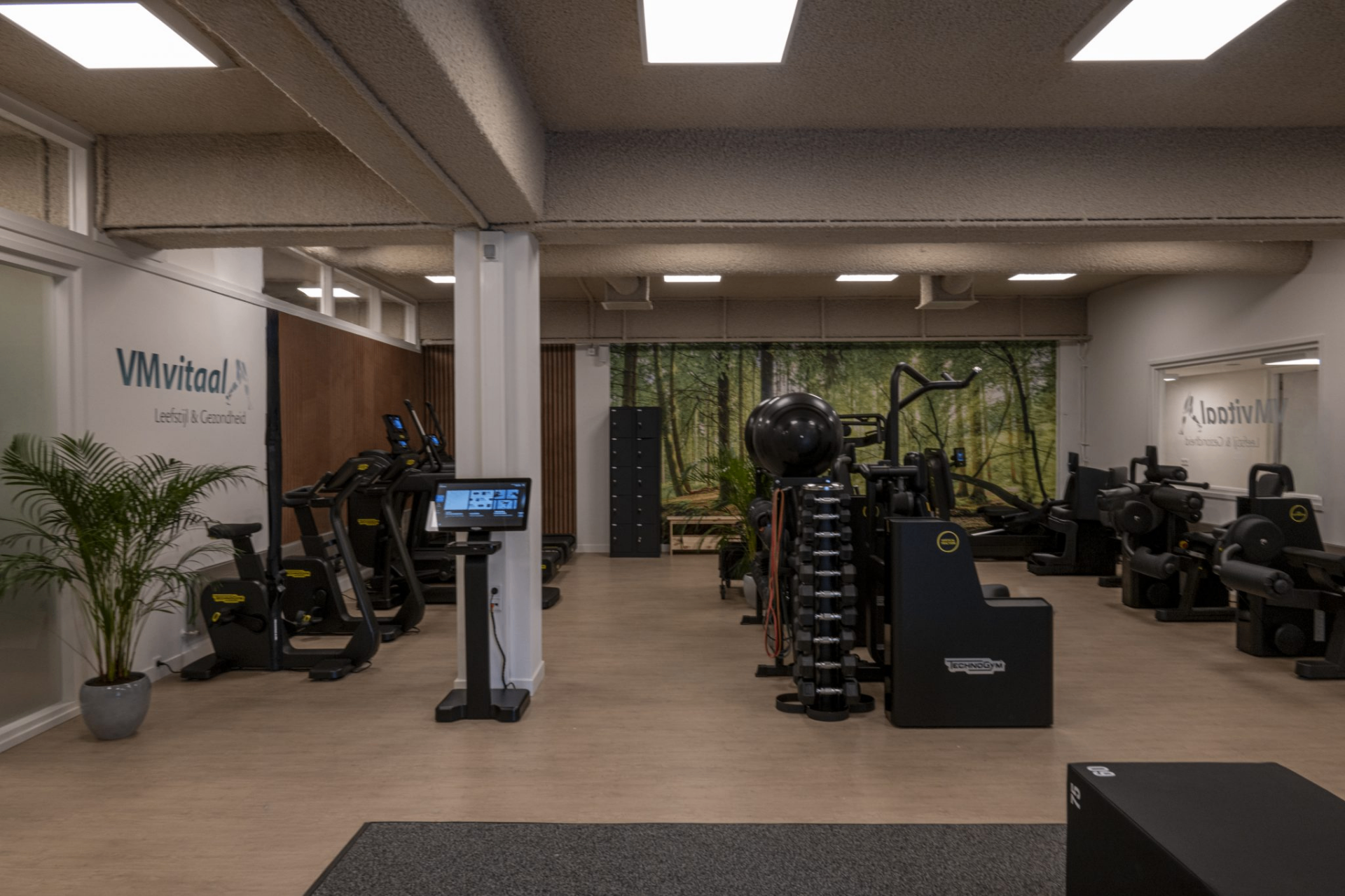 Cardio zone